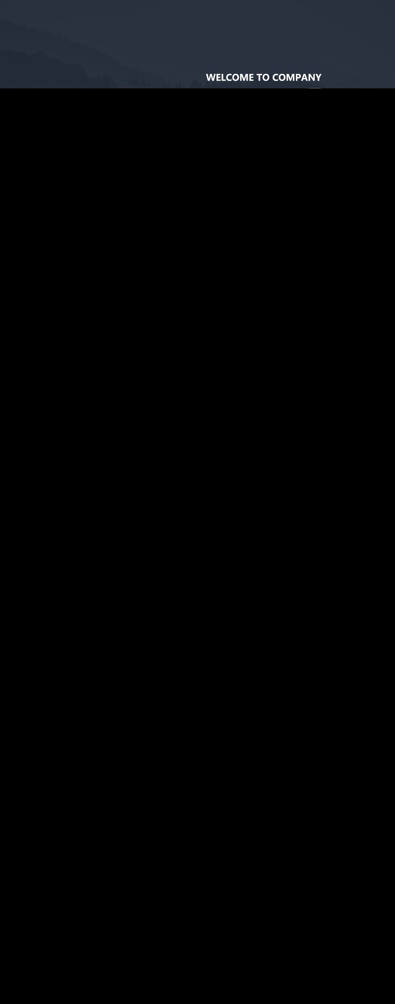 专业设计服务，为企业打造独特网页形象